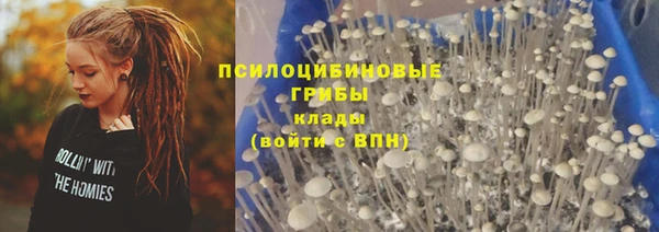 МДПВ Нягань