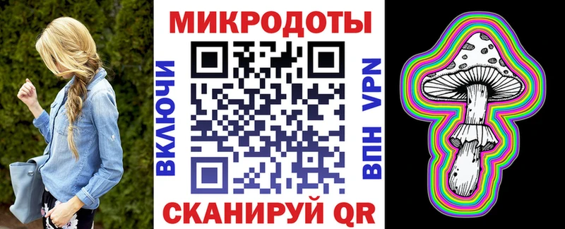 Псилоцибиновые грибы Psilocybe  наркота  Кудрово 