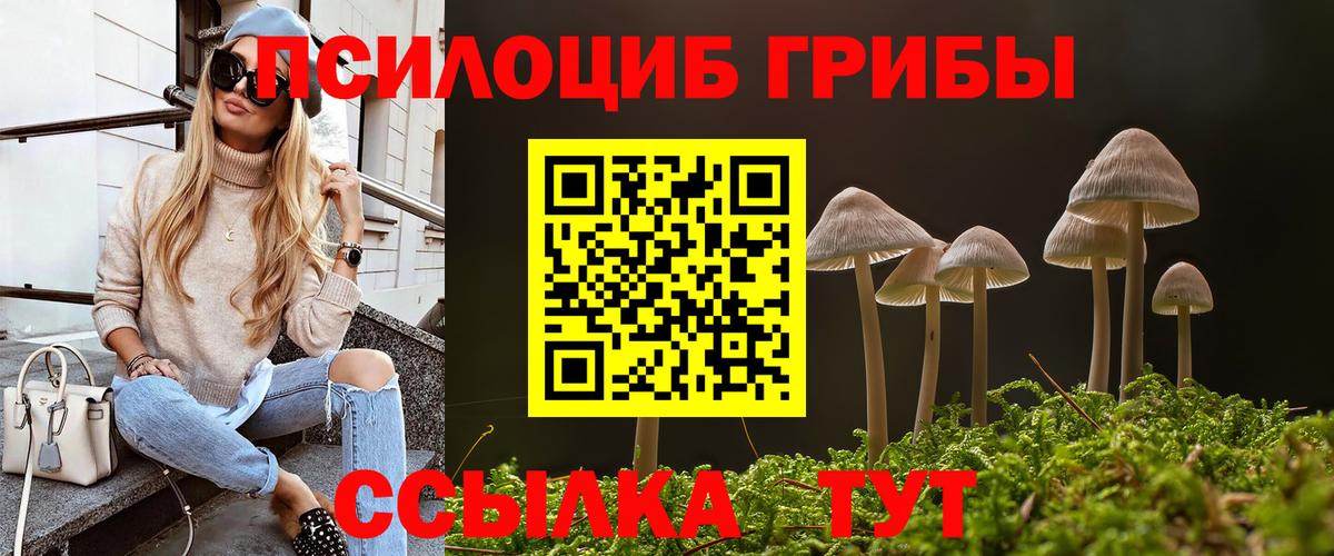 Кудрово  Галлюциногенные грибы MAGIC MUSHROOMS  Вход с VPN 