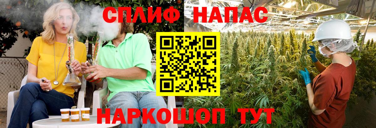 Бошки Шишки White Widow  Вход с VPN  Кудрово  Марихуана AK-47  МАРИХУАНА план 
